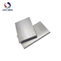 Carbide Plate (19)